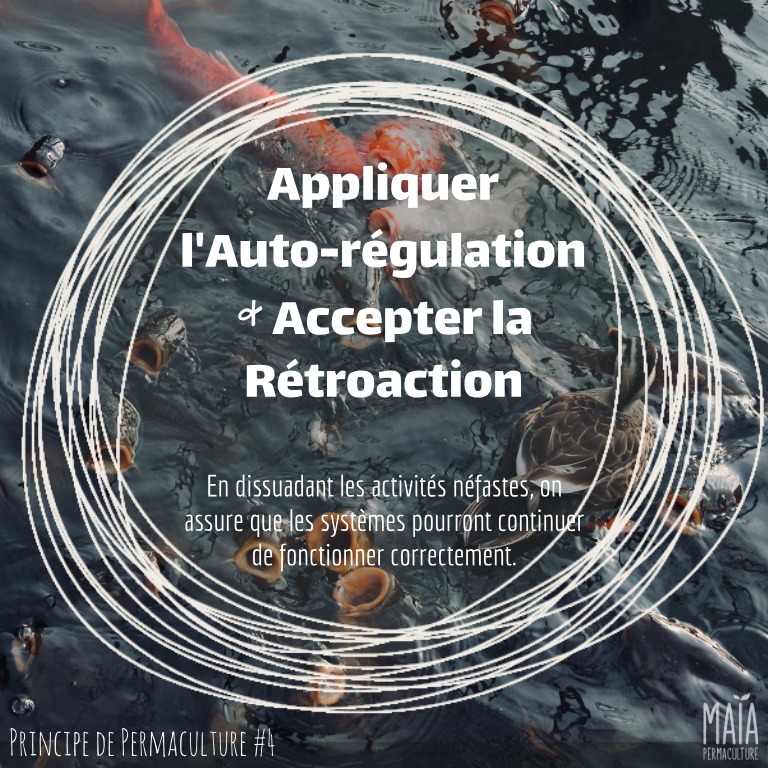 Appliquer l'auto-régulation et accepter la rétroaction