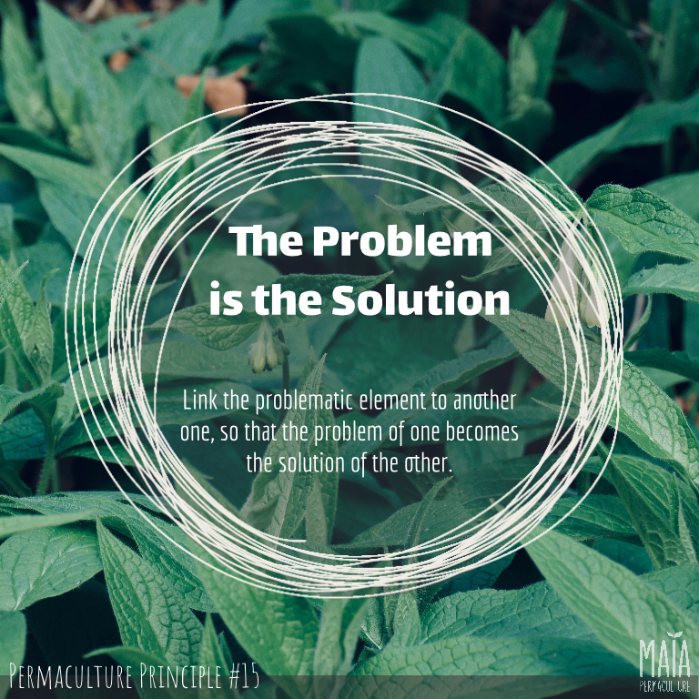 The problem is the solution