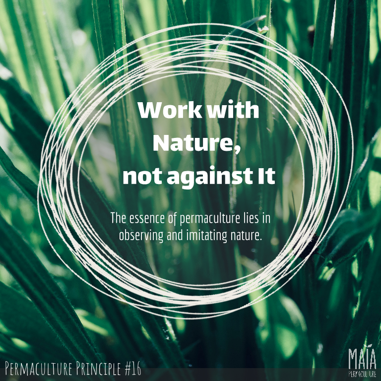 Work with Nature, not against it