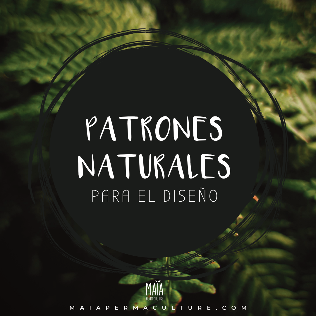ES Baraja Patrones_1