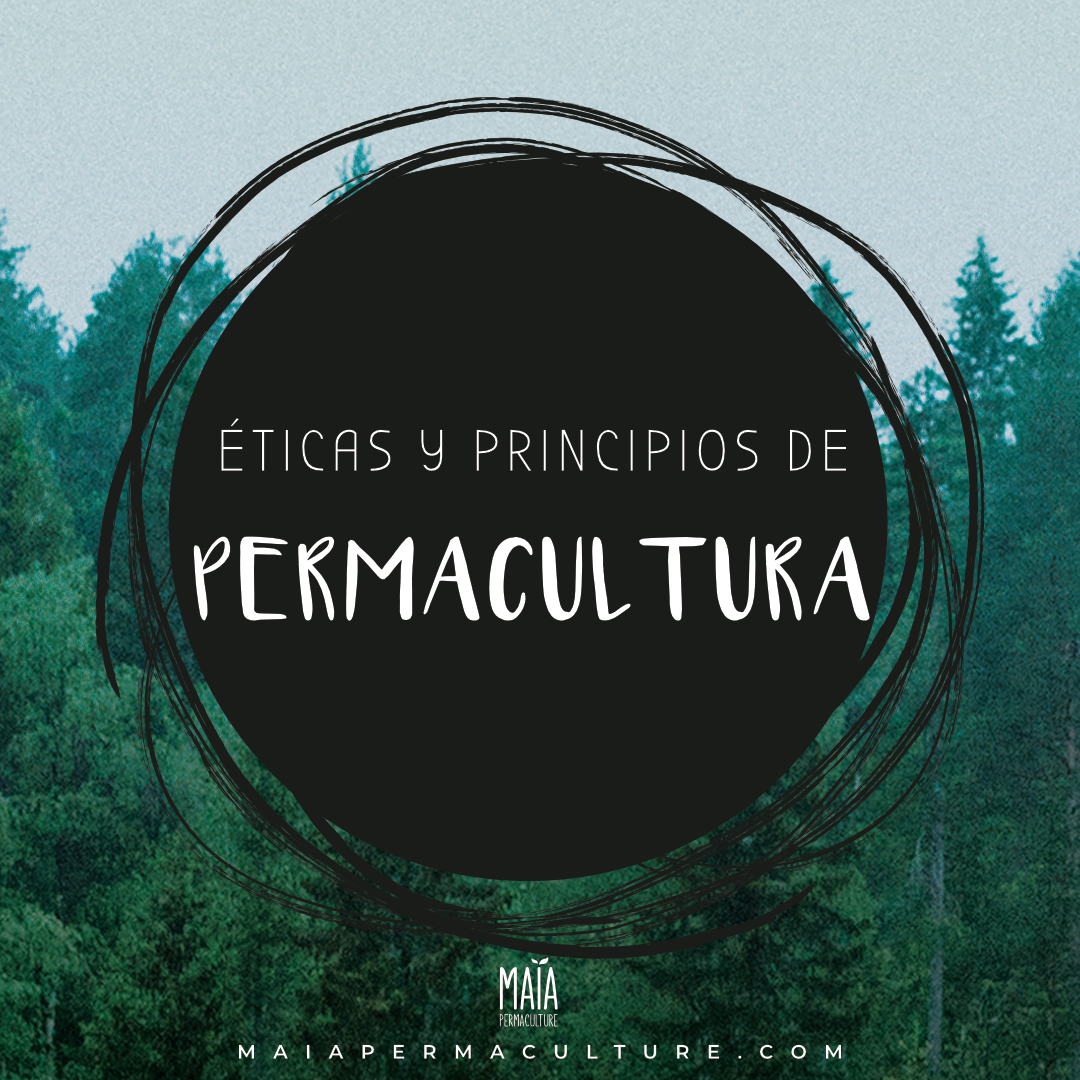 ES Baraja Principios WEB_1